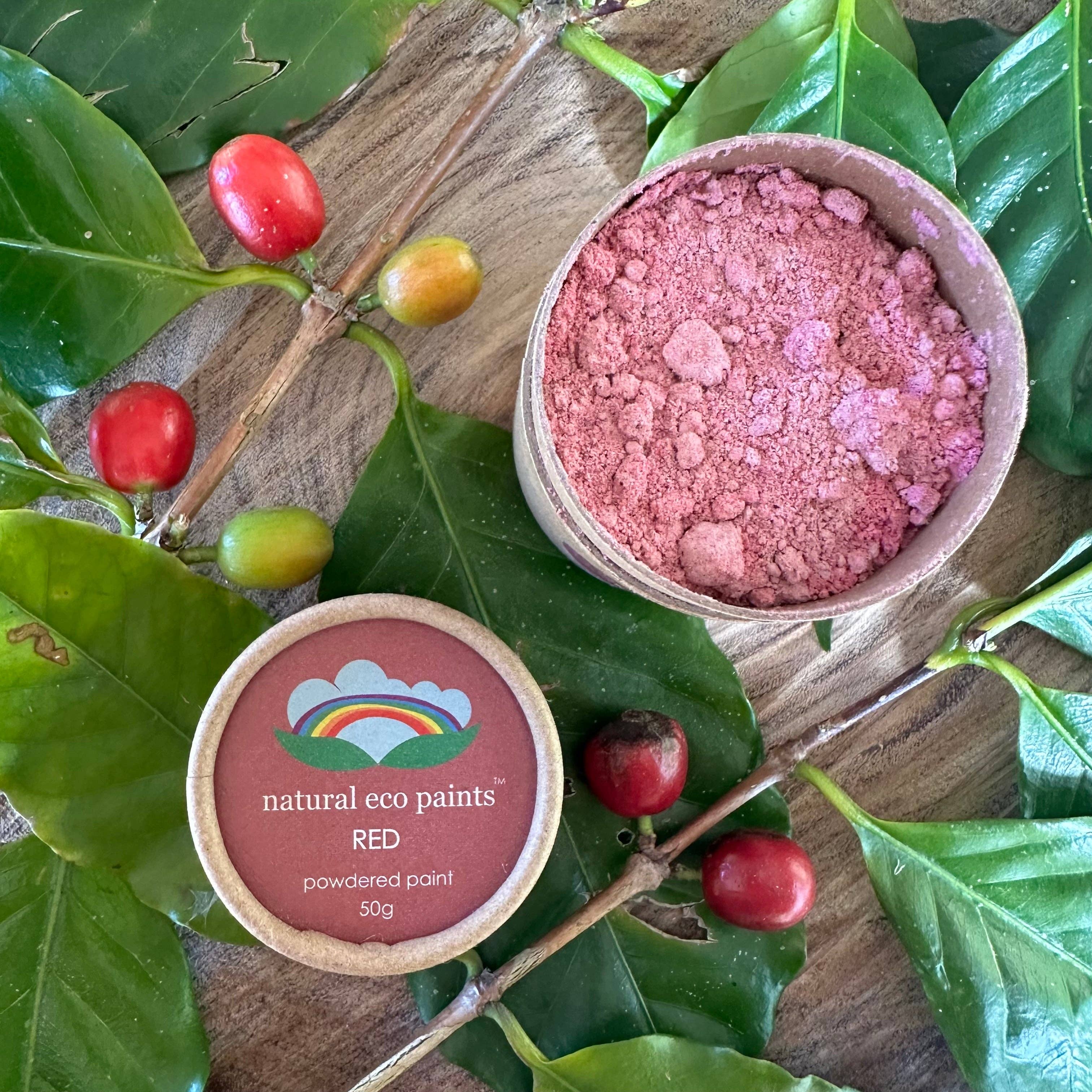 Eco Art and Craft - Red Eco Paint