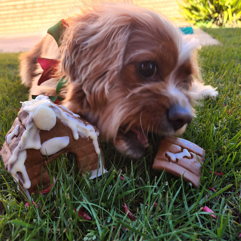 Dog House - 3 piece cookie cutter kit