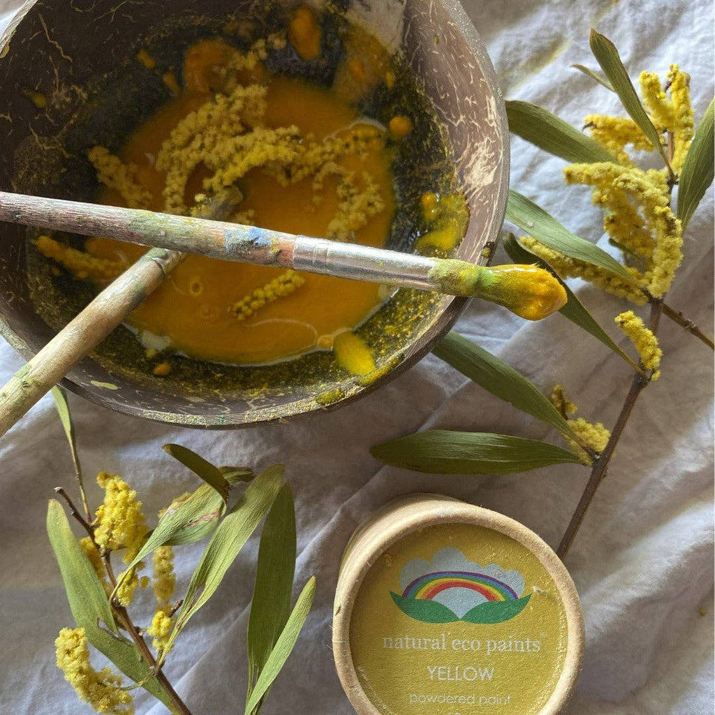 Eco Art and Craft - Eco Paint Set