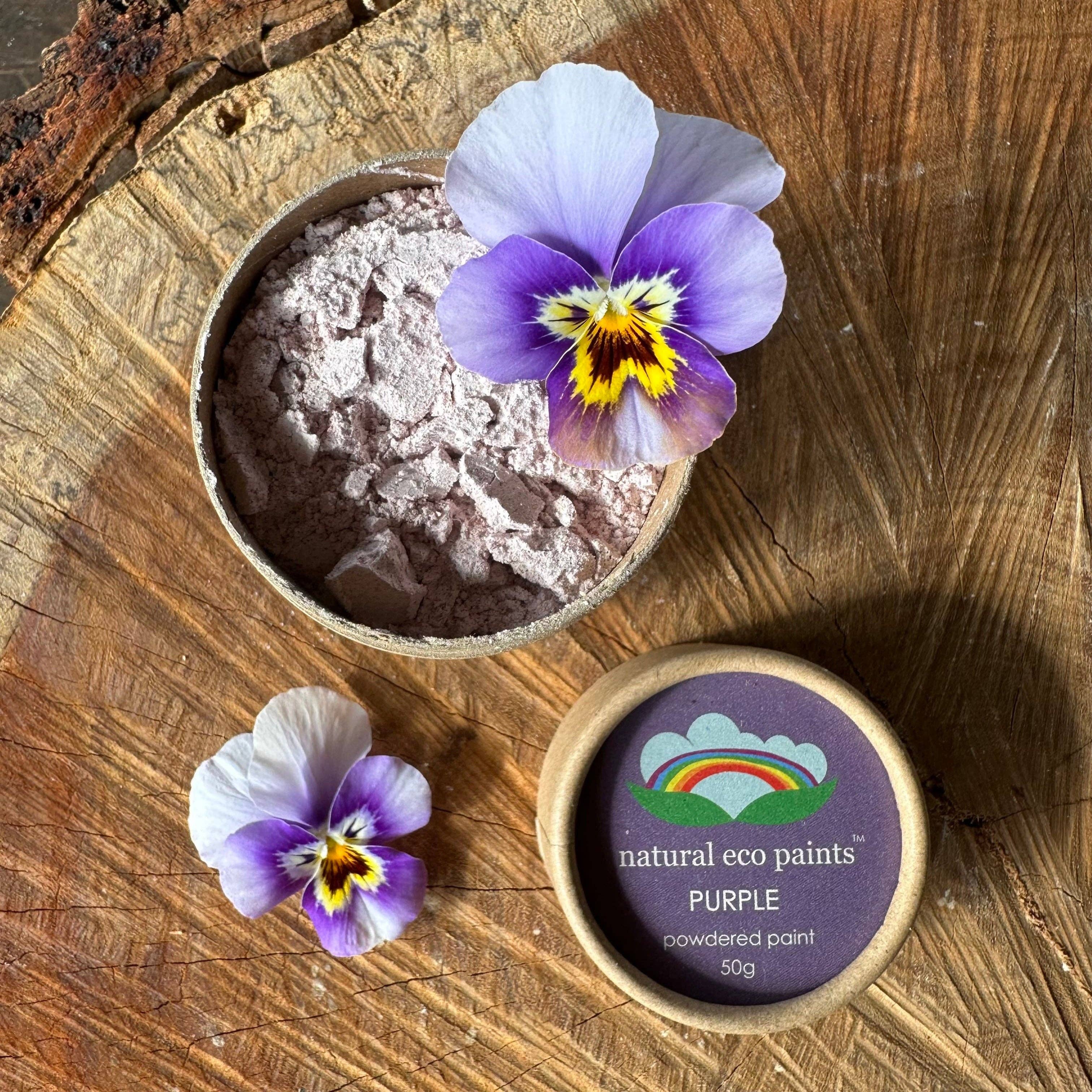 Eco Art and Craft - Purple Eco Paint