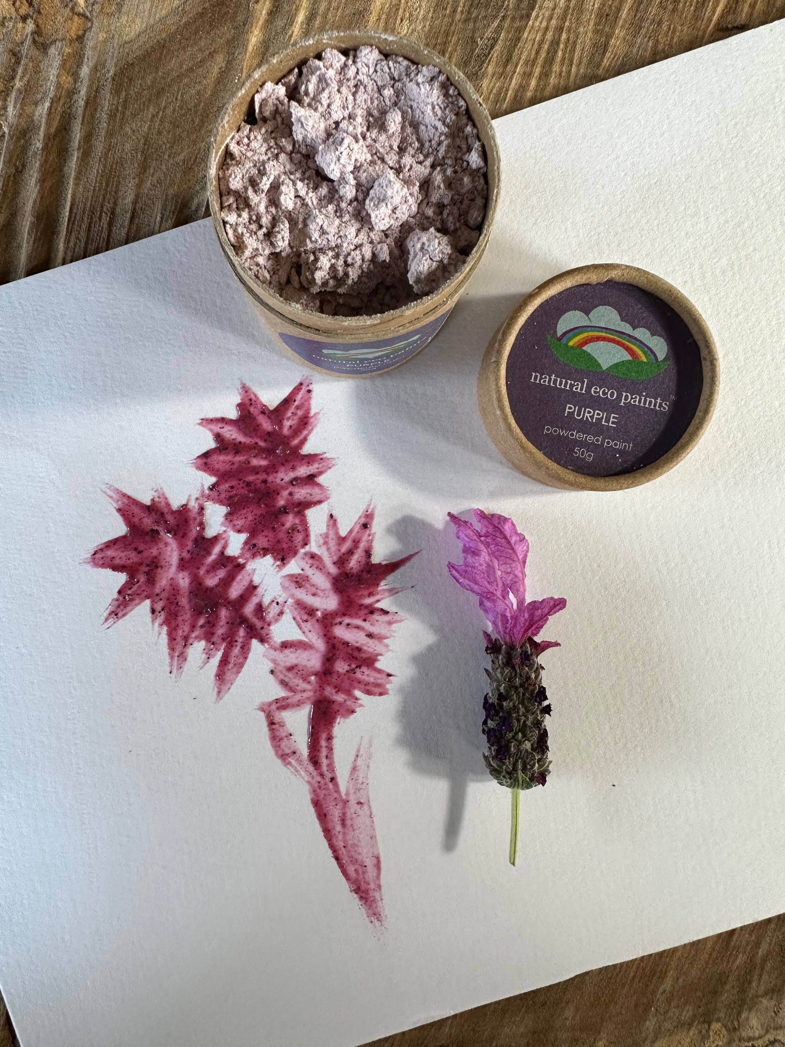 Eco Art and Craft - Purple Eco Paint