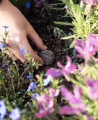 Lil'Bit Better - Bee & Beneficial Insect Seed Balls  Pack of 3- Organic