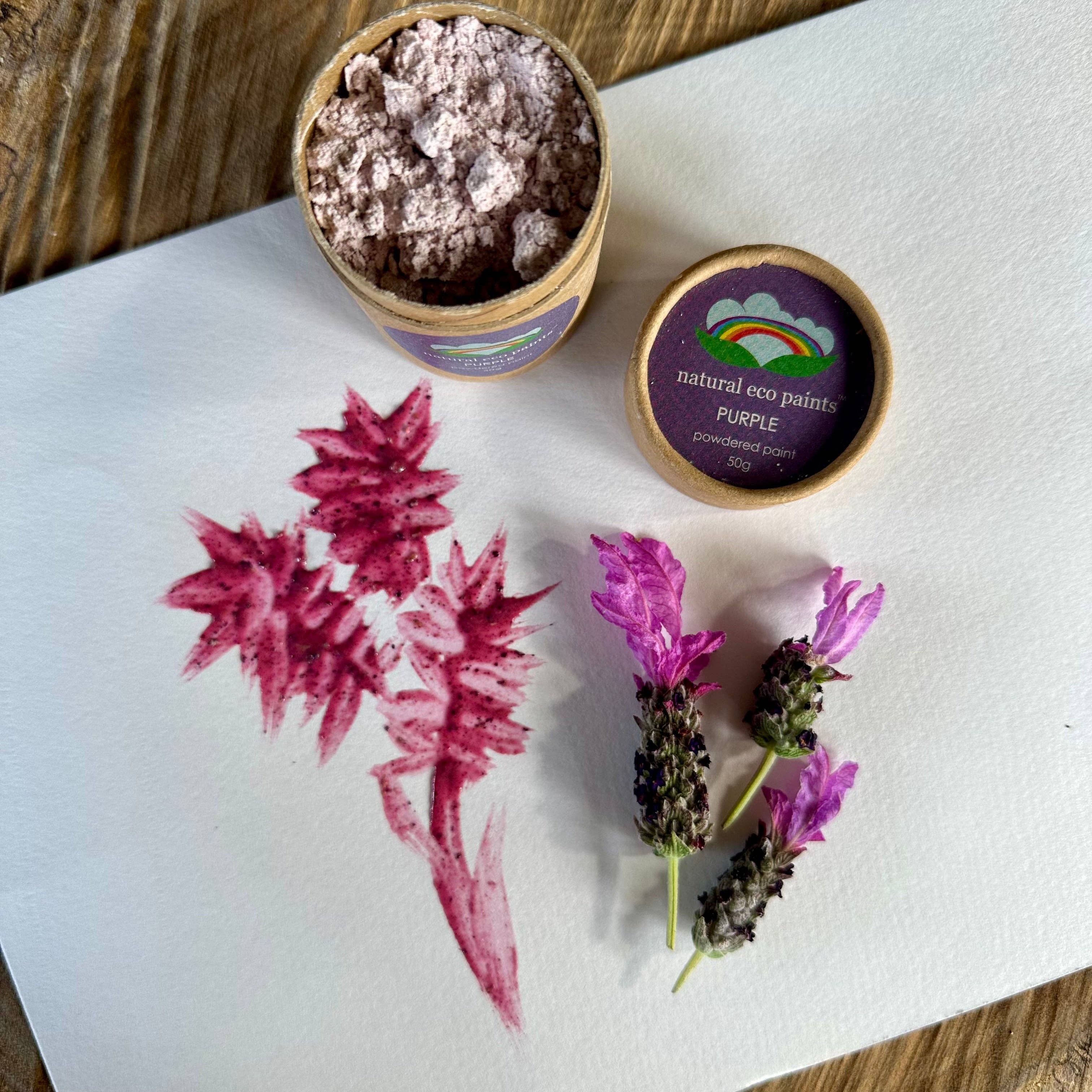 Eco Art and Craft - Purple Eco Paint