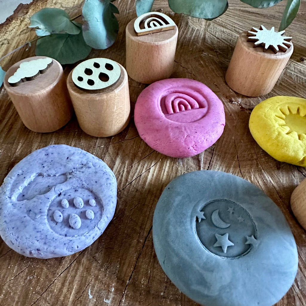 Eco Art and Craft - Weather Stamp Set