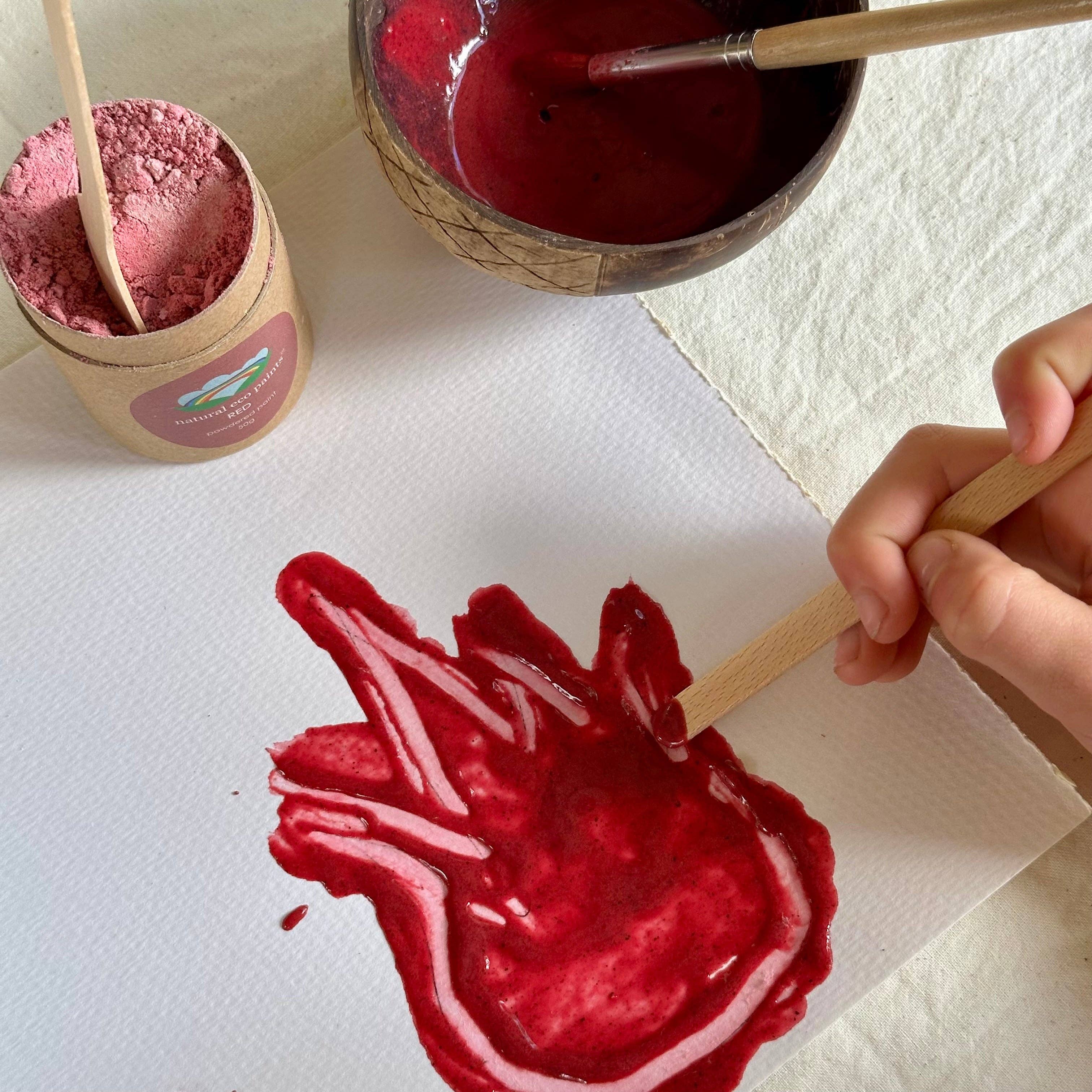 Eco Art and Craft - Red Eco Paint