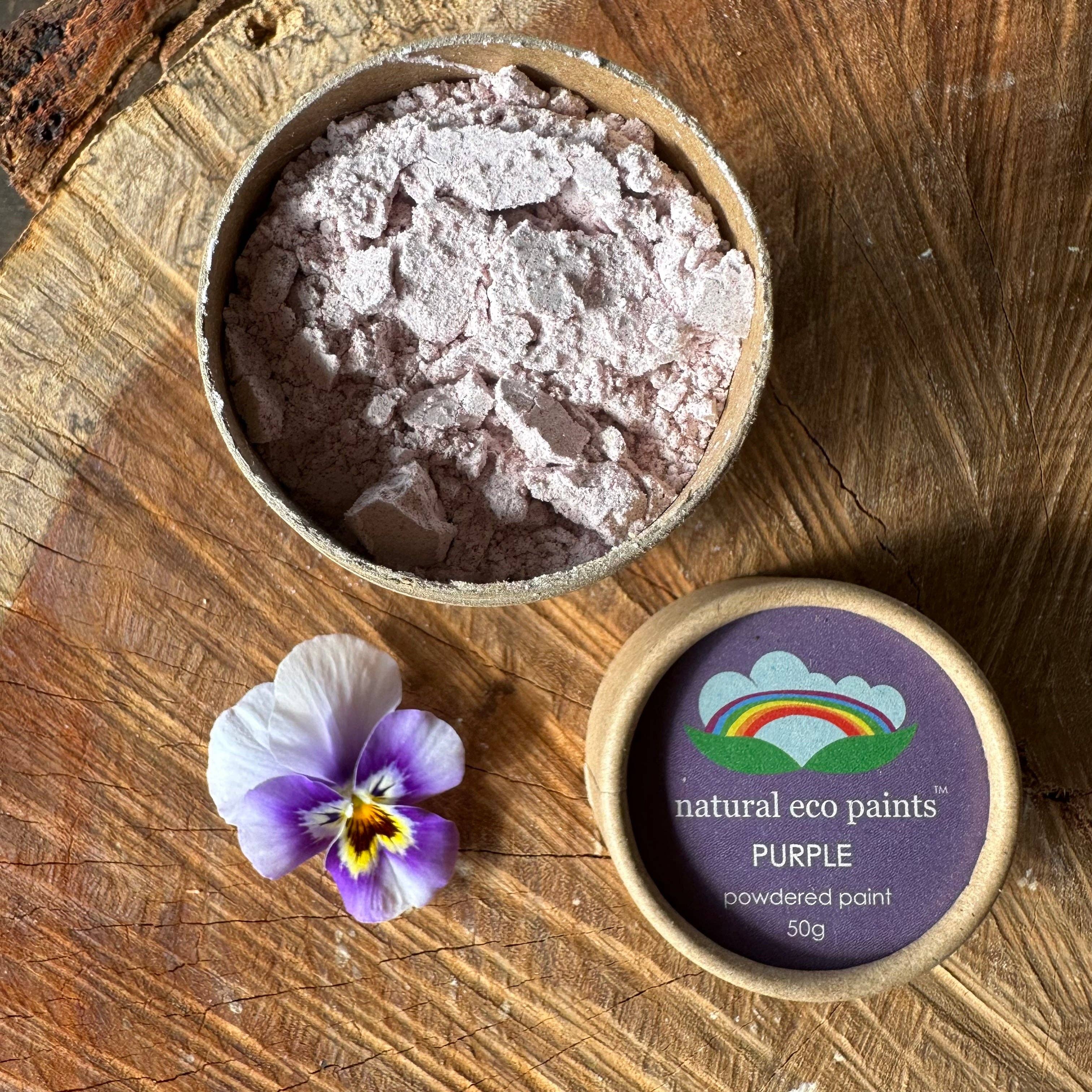 Eco Art and Craft - Purple Eco Paint